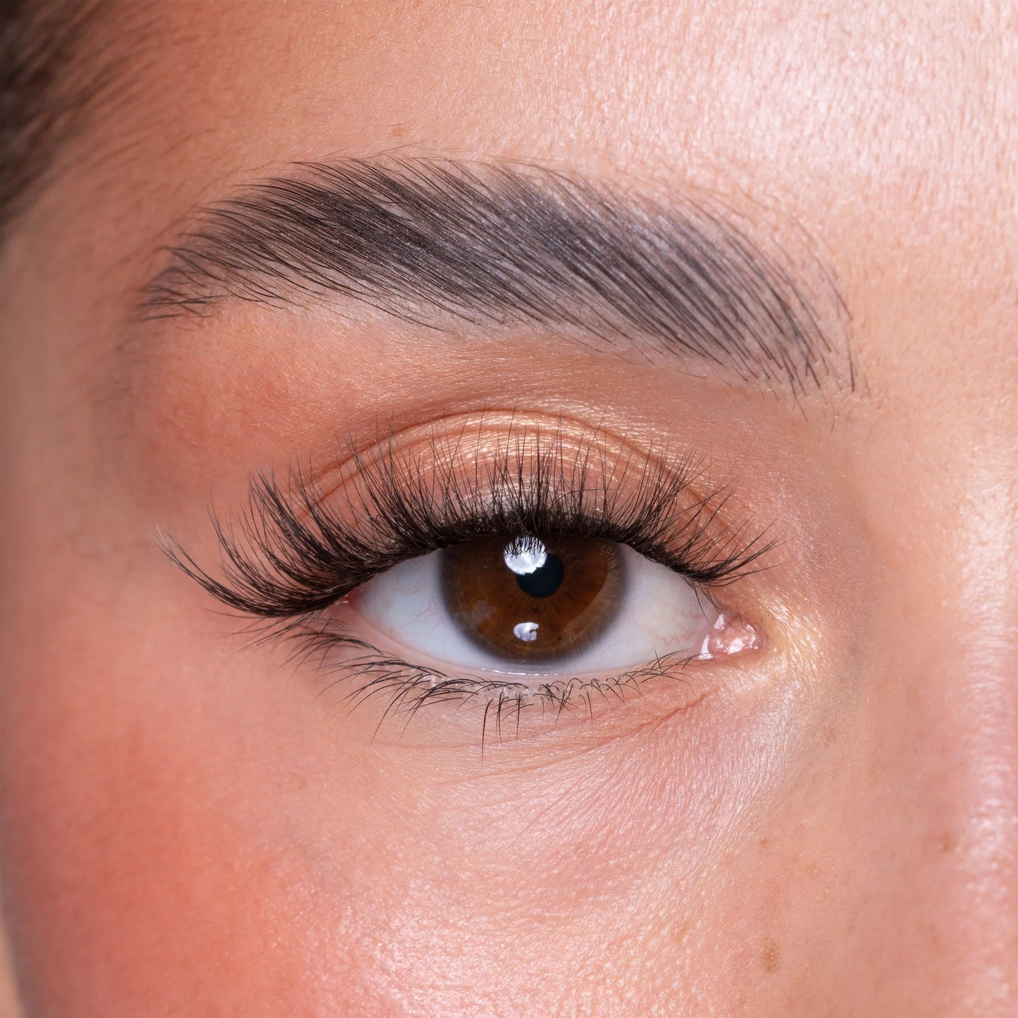 Brown Brush On Eye Lash Adhesive Glue Eyeliner Pen & Lash Duo