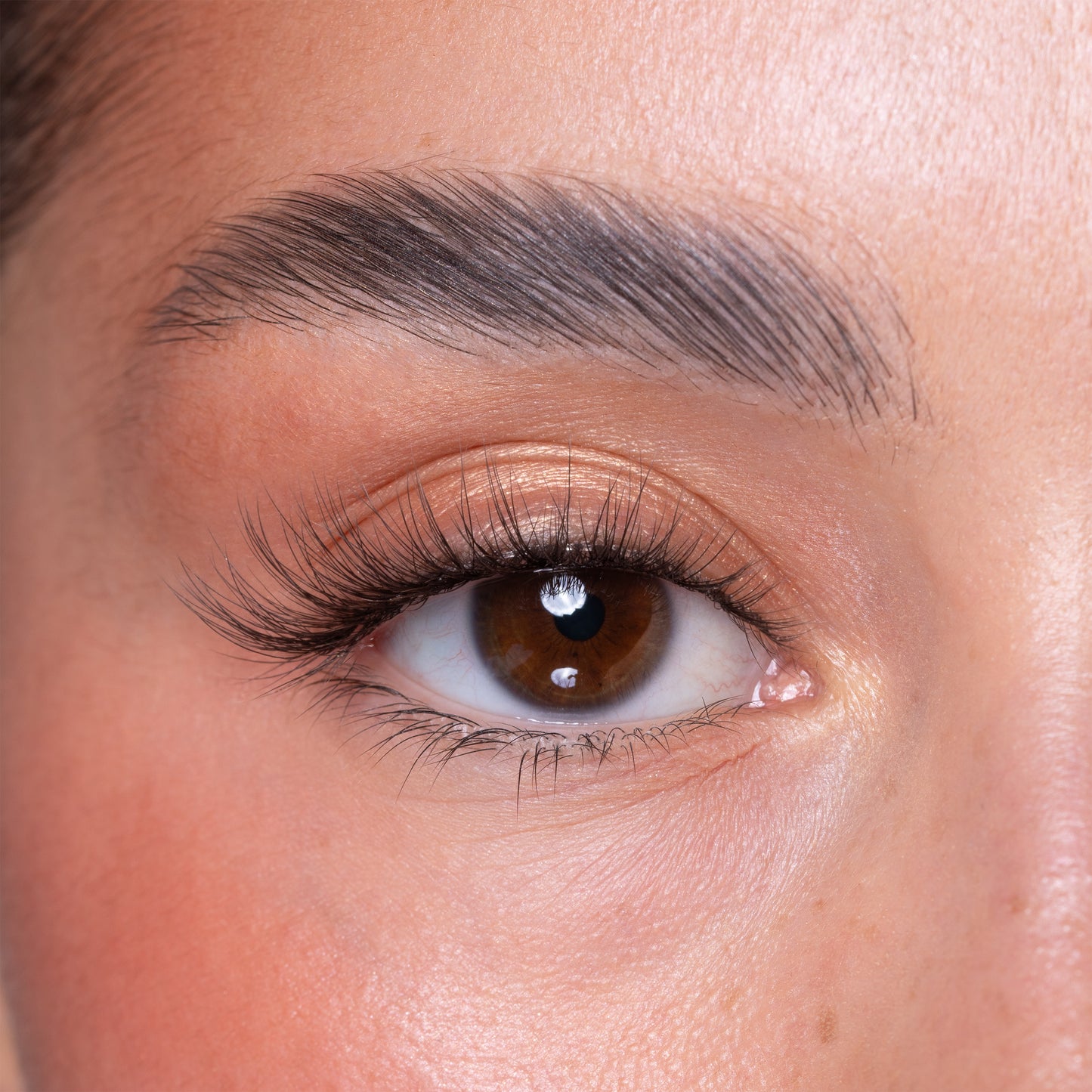 Luxury Vegan Reusable Lashes - Amira