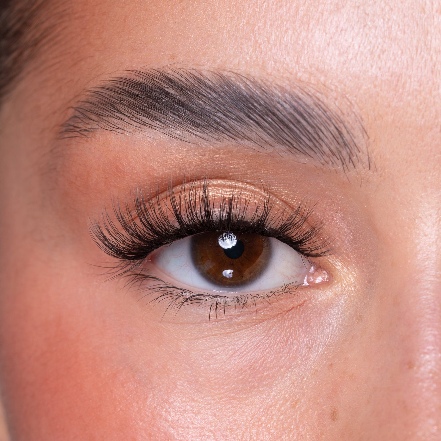Luxury Vegan Reusable Elastic Lashes - Aurora