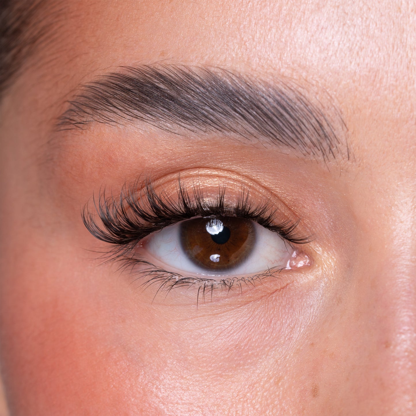 Brown Brush On Eye Lash Adhesive Glue Eyeliner Pen & Lash Duo