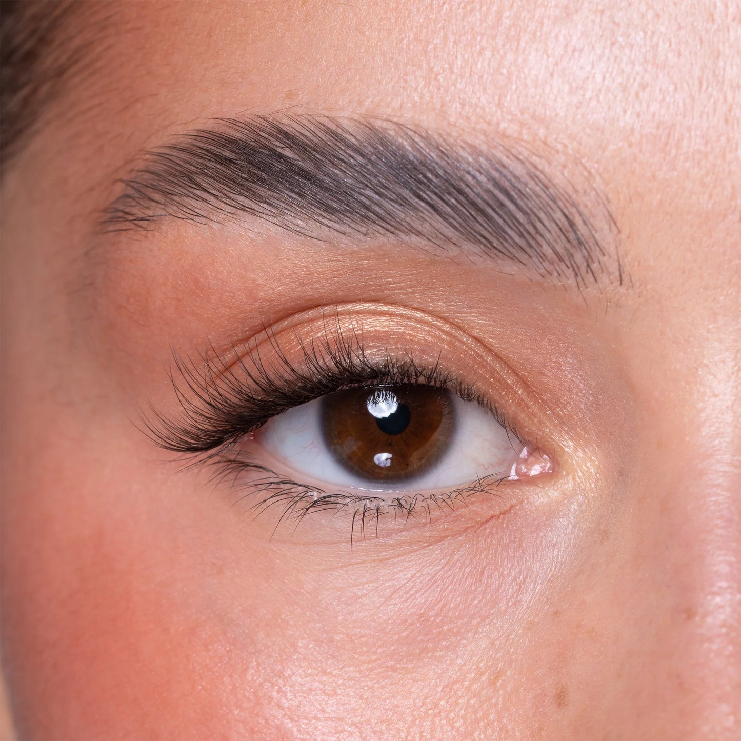 Brown Brush On Eye Lash Adhesive Glue Eyeliner Pen & Lash Duo