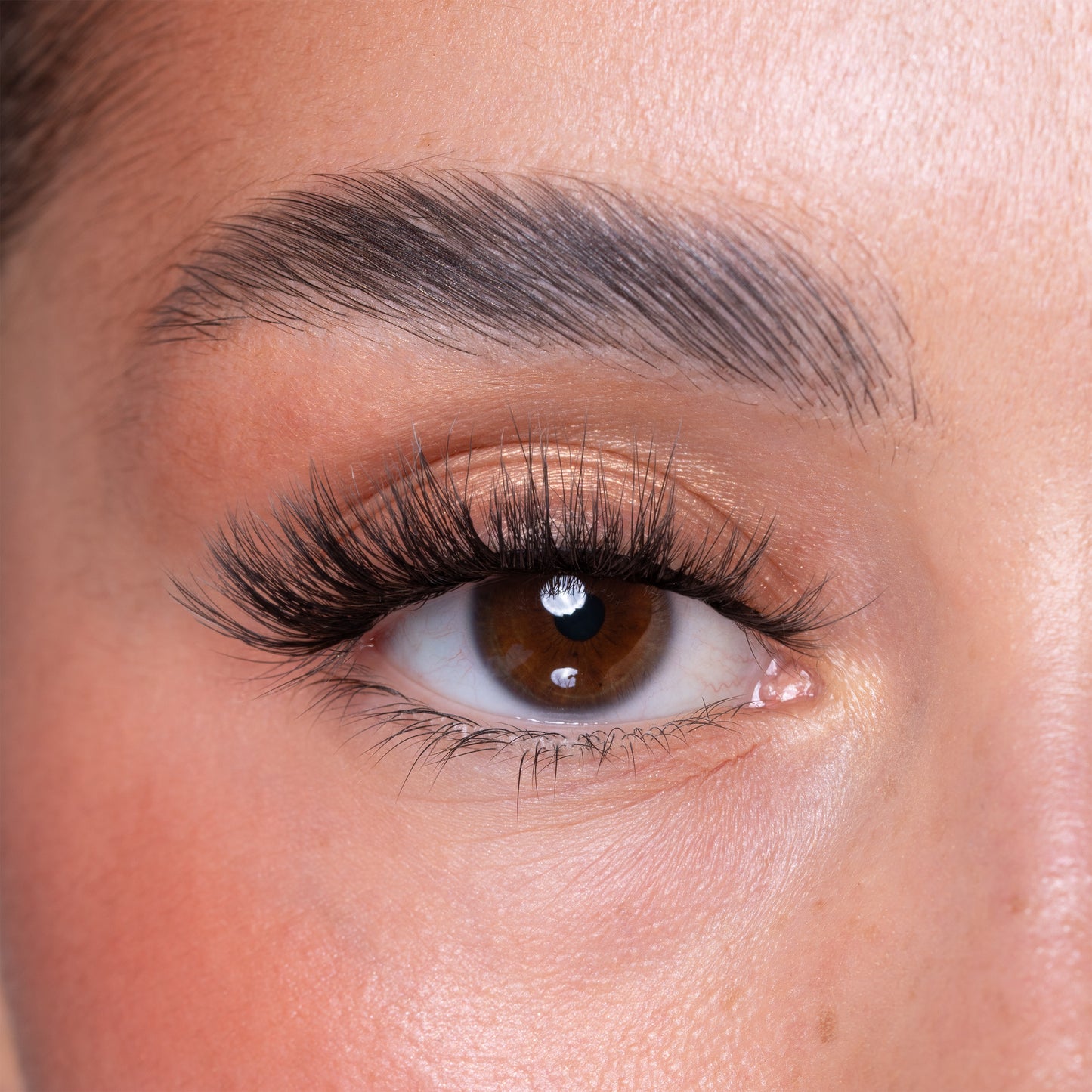 Luxury Vegan Reusable Lashes - Daisy