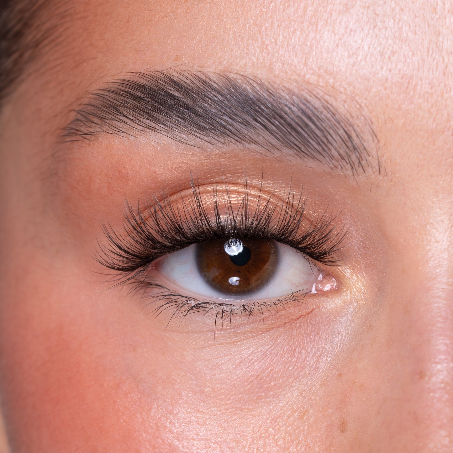 Luxury Vegan Reusable Lashes - Dalia