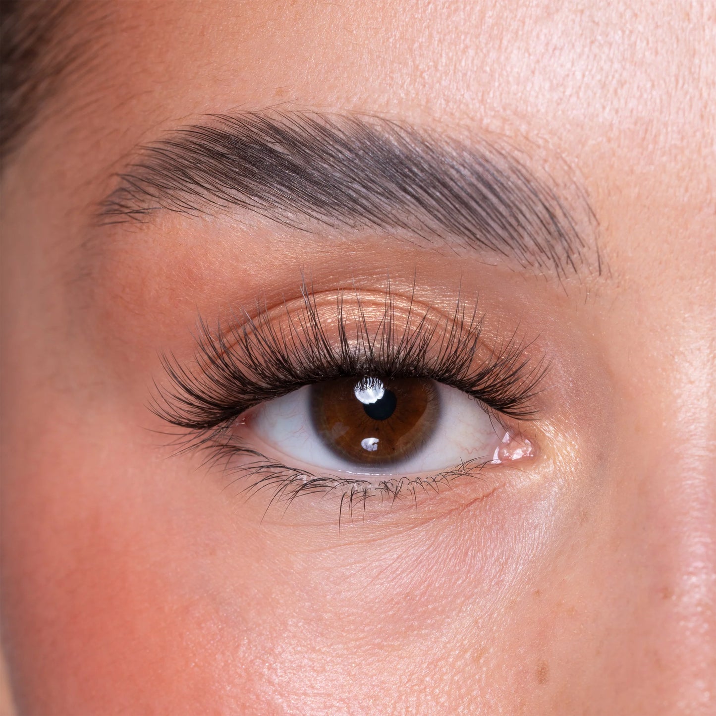 Brown Brush On Eye Lash Adhesive Glue Eyeliner Pen & Lash Duo