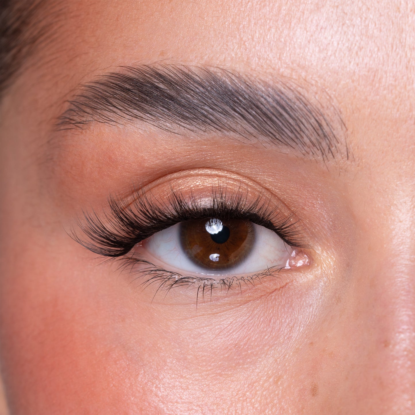 Luxury Vegan Elastic Reusable Lashes - Elodie
