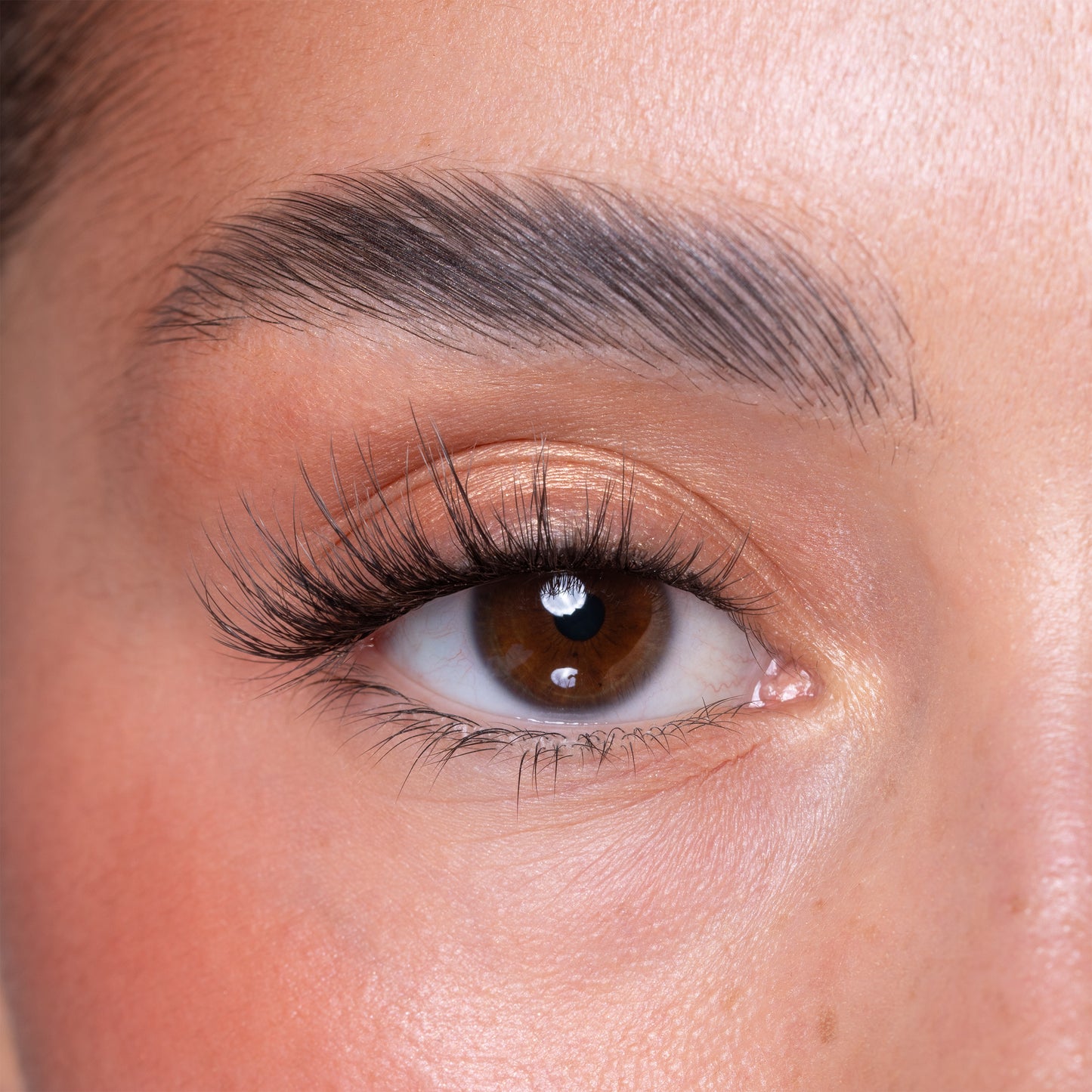Luxury Vegan Reusable Lashes - Farren