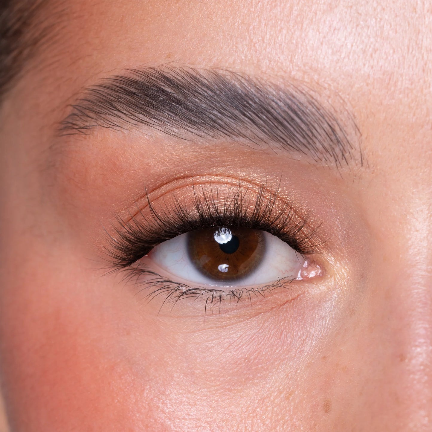 Brown Brush On Eye Lash Adhesive Glue Eyeliner Pen & Lash Duo