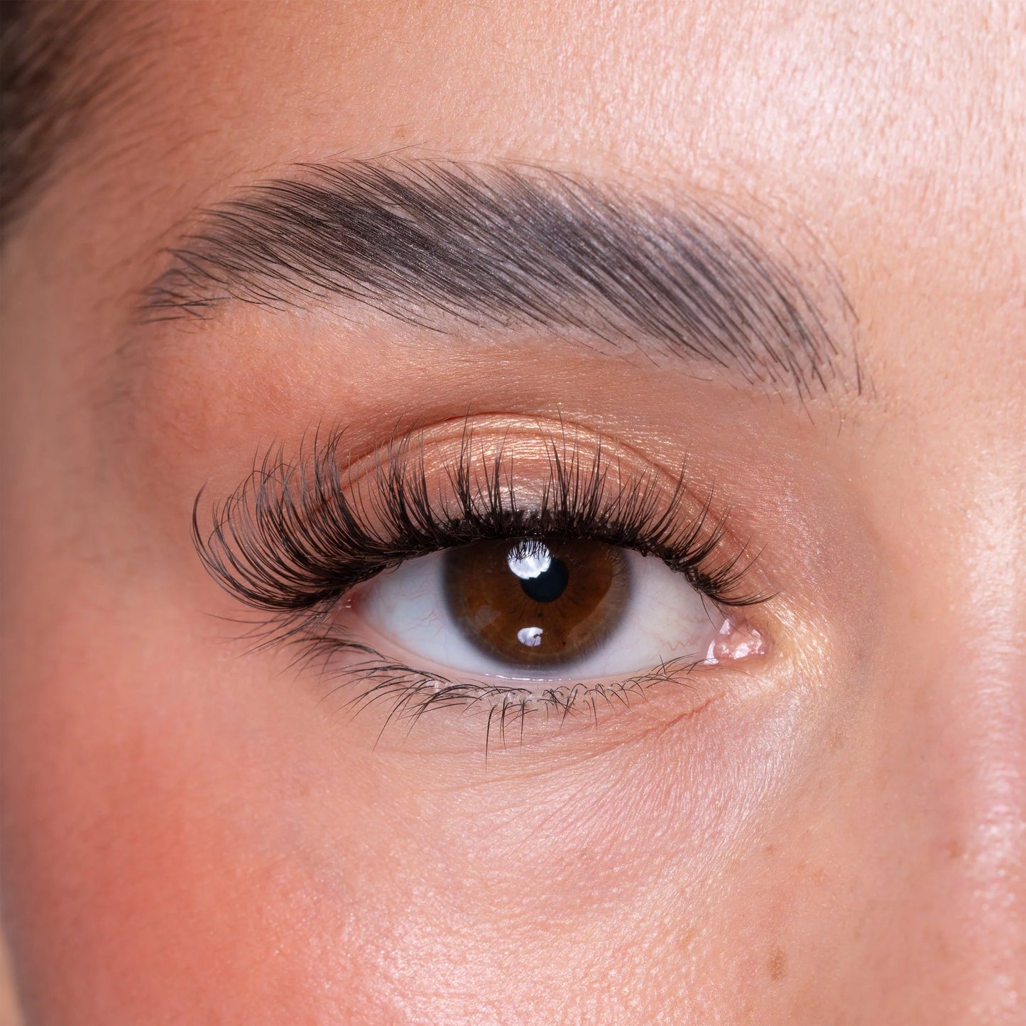 Brown Brush On Eye Lash Adhesive Glue Eyeliner Pen & Lash Duo