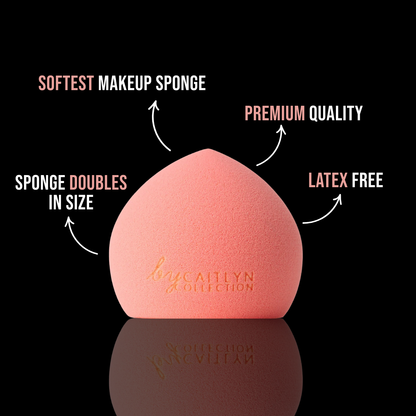 Ultimate Makeup Artist Tool Bundle