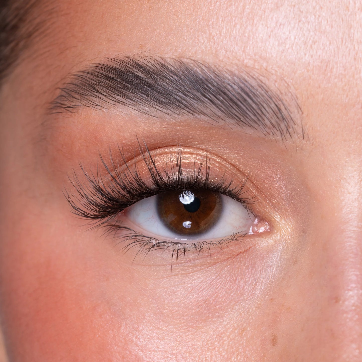Brown Brush On Eye Lash Adhesive Glue Eyeliner Pen & Lash Duo