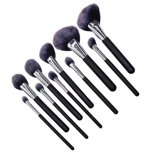 10 Piece Professional Fan Brush Collection