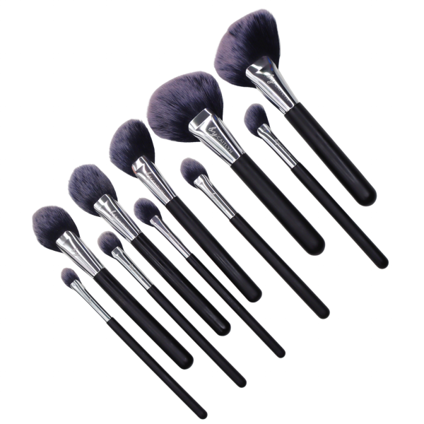 10 Piece Professional Fan Brush Collection